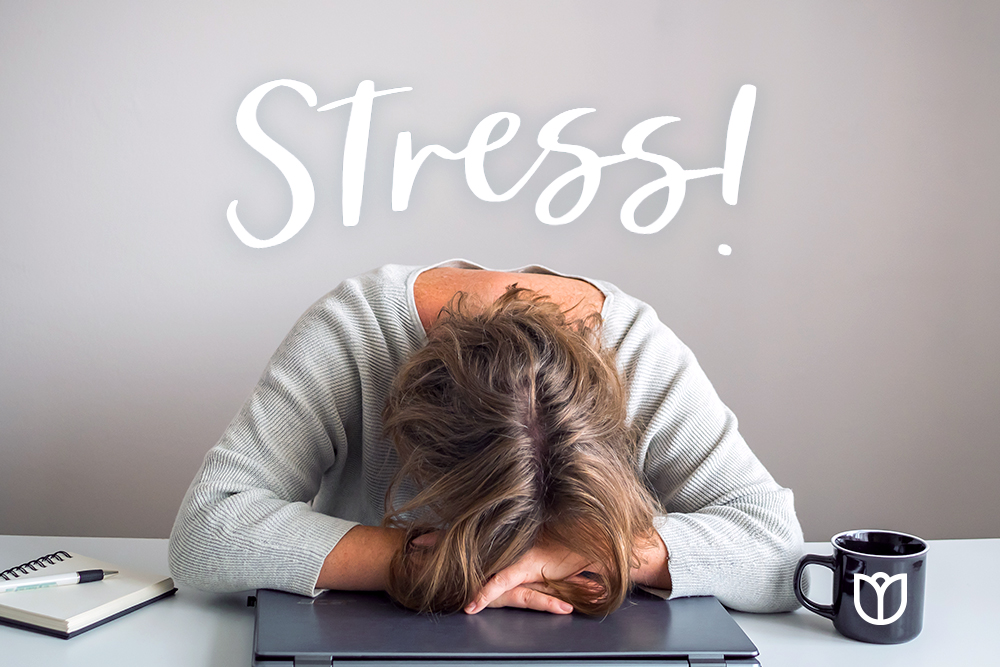 چگونه پاسخ استرس شما کار می کند؟