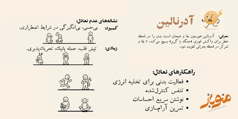 آدرنالین؛ هورمون هیجان