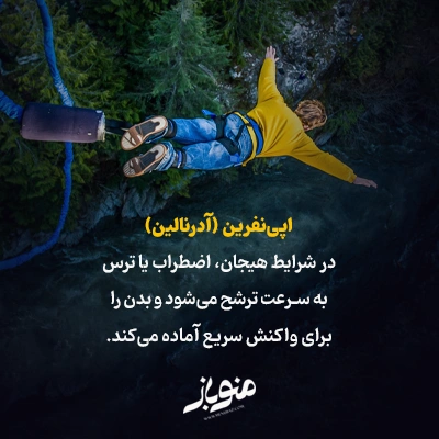 اپی‌نفرین و نوراپی‌نفرین
