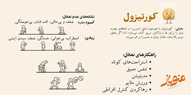 کورتیزول؛ هورمون استرس و بقا