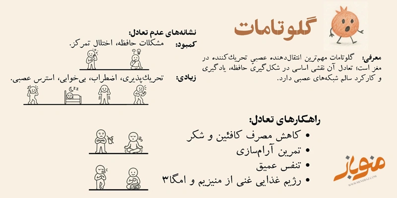 گلوتامات؛ هورمون تمرکز