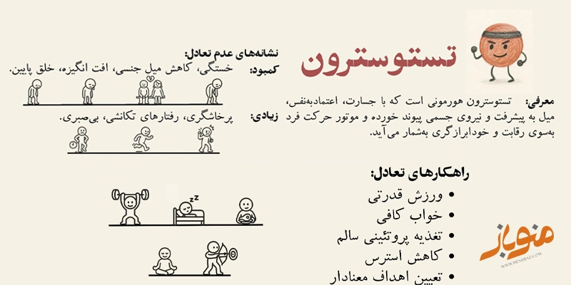 تستوسترون؛ هورمون جسارت