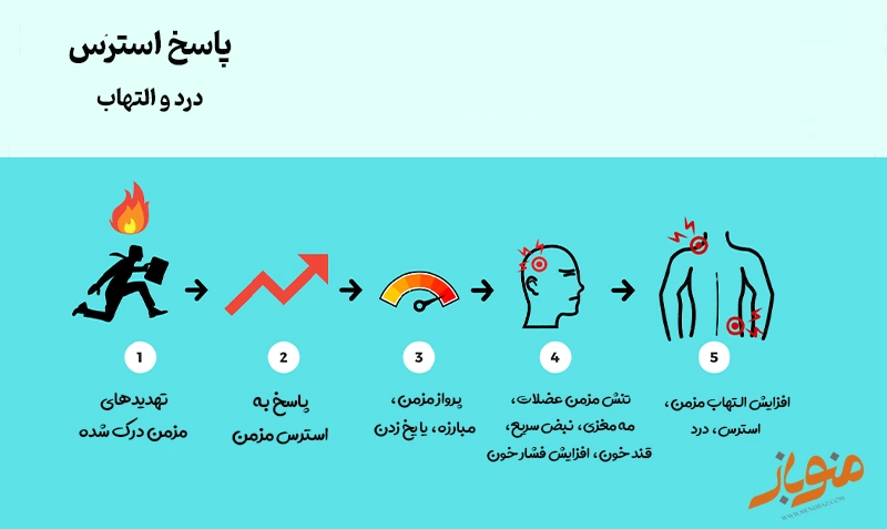 پاسخ استرس