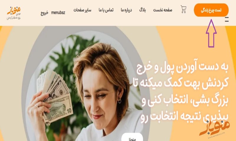 تست چرخ زندگی