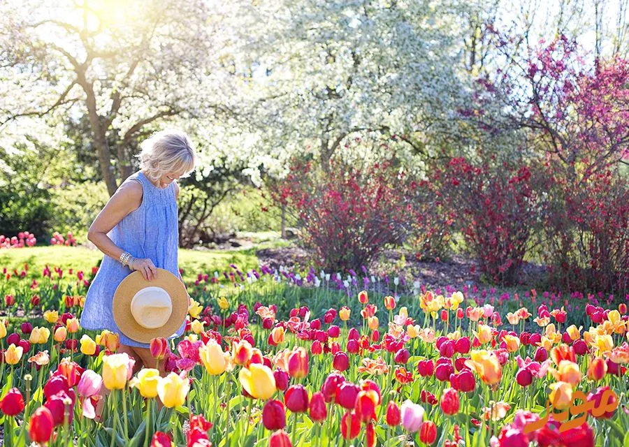 مثبت اندیشی و خوشبختی