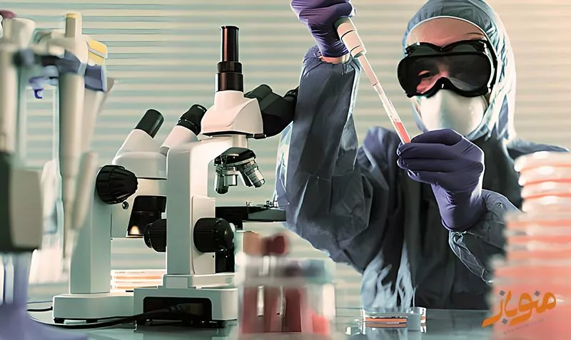 محیط کاری برای جستجوگران